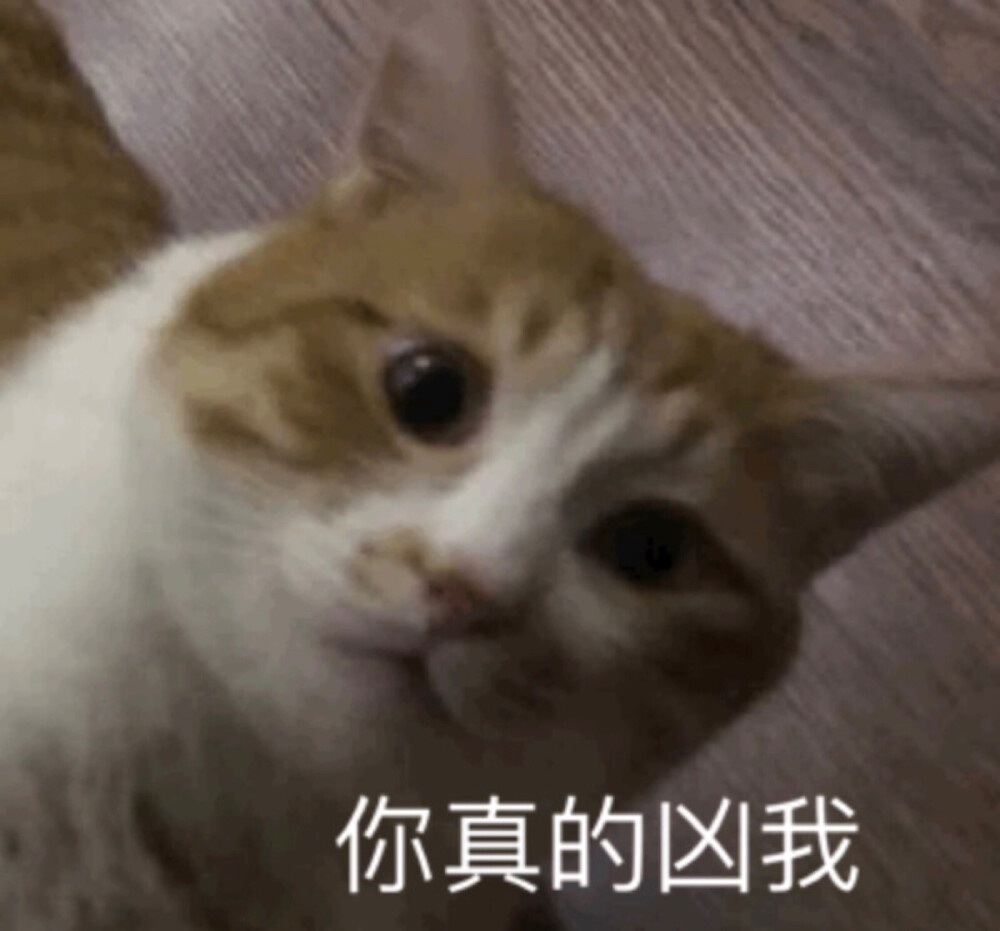 表情包