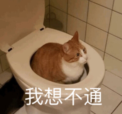 表情包