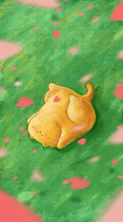 @大橘子 (微信公众号)