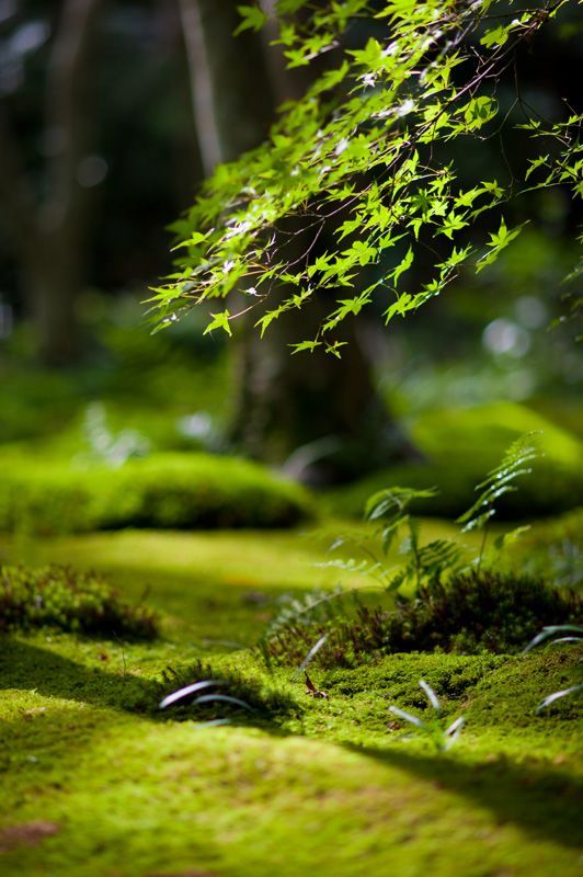 【原创】《感怀》
岁月长逝水难还，
山河易老风去远。
痴心柔软万物轻，
胸怀辽阔天地宽。
文/以人为本
图/堆糖“行到水穷处，坐看云起时。静是一种品格, 可以沉淀浮躁，过滤浅薄，调节人的精神；静是一种修养，拥有了了然于心的平静，就拥有了高品位的人生；静是一种豁达，当你不再在意拥有和索取，就会把失去当做一种收获；静是一种智慧，人只要知足，便能心静若止水。”
（订阅 @一诗一文 发现诗意生活、每天给你温暖陪伴 ）#诗歌#