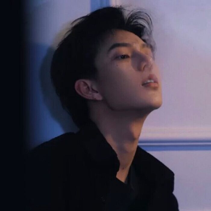 鹿树
图源tb
喜欢收藏.禁二传