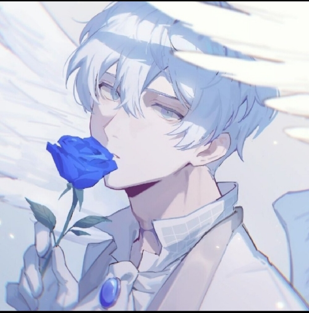 勿盗 @白夜遗落