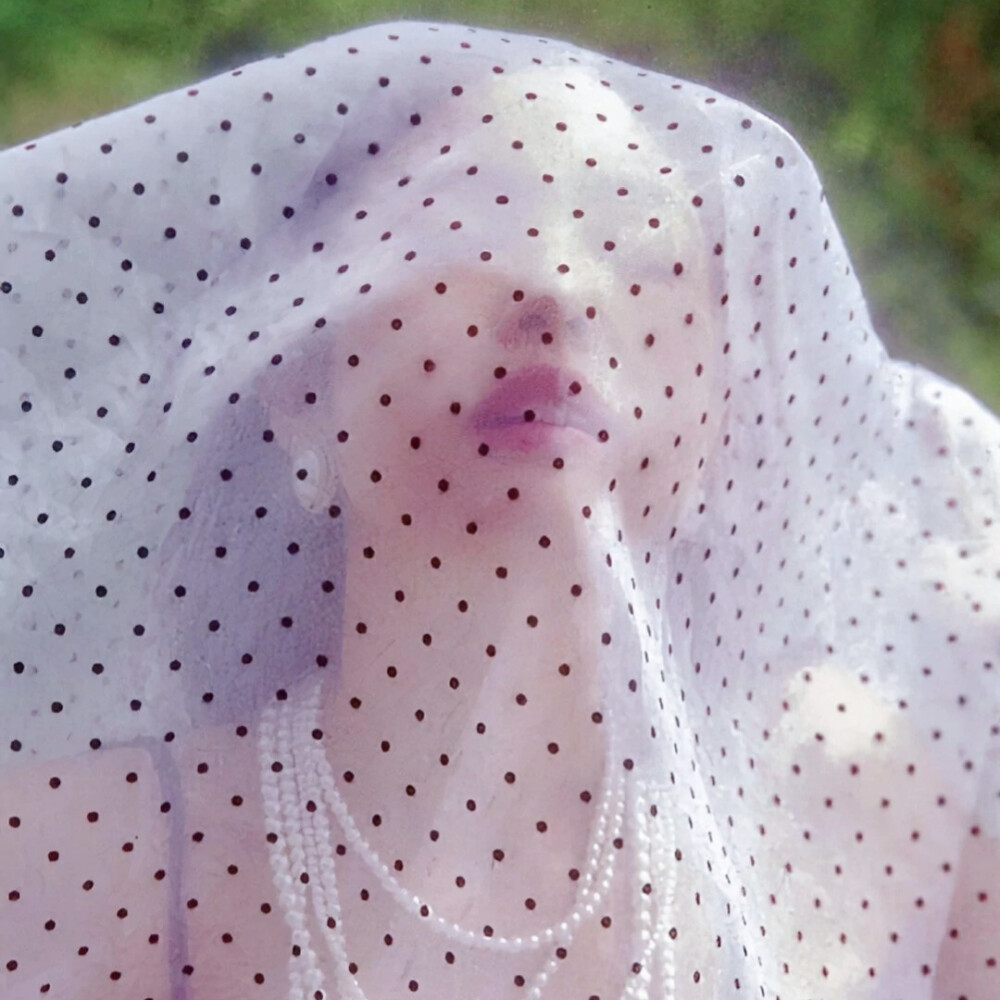 © 抱 图 看 专 辑 简 介