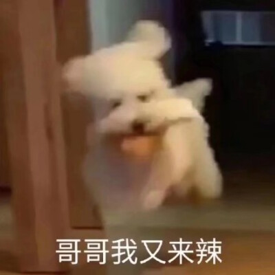 可爱