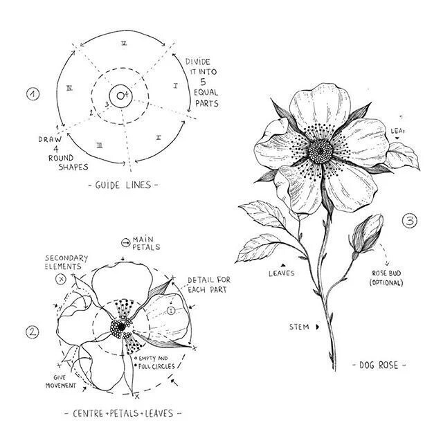 线描花