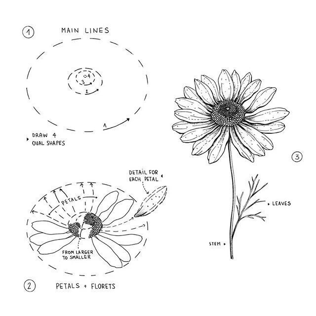 线描花