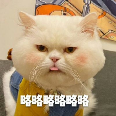 可爱表情包‖ 球球在线豪横