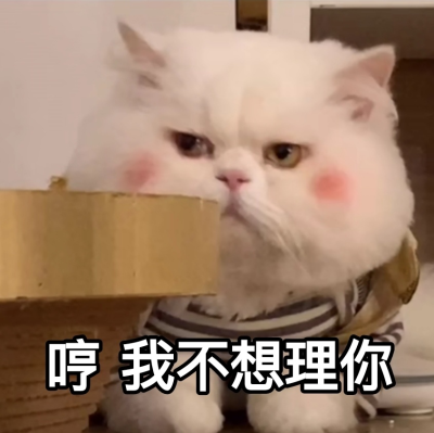 可爱表情包‖ 球球在线豪横