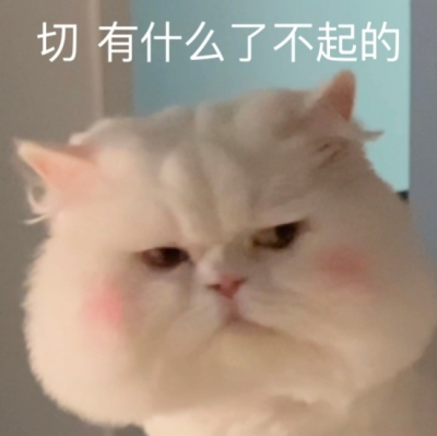 可爱表情包‖ 球球在线豪横