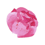 免扣手账素材（八）禁二转