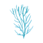 免扣手账素材（八）禁二转