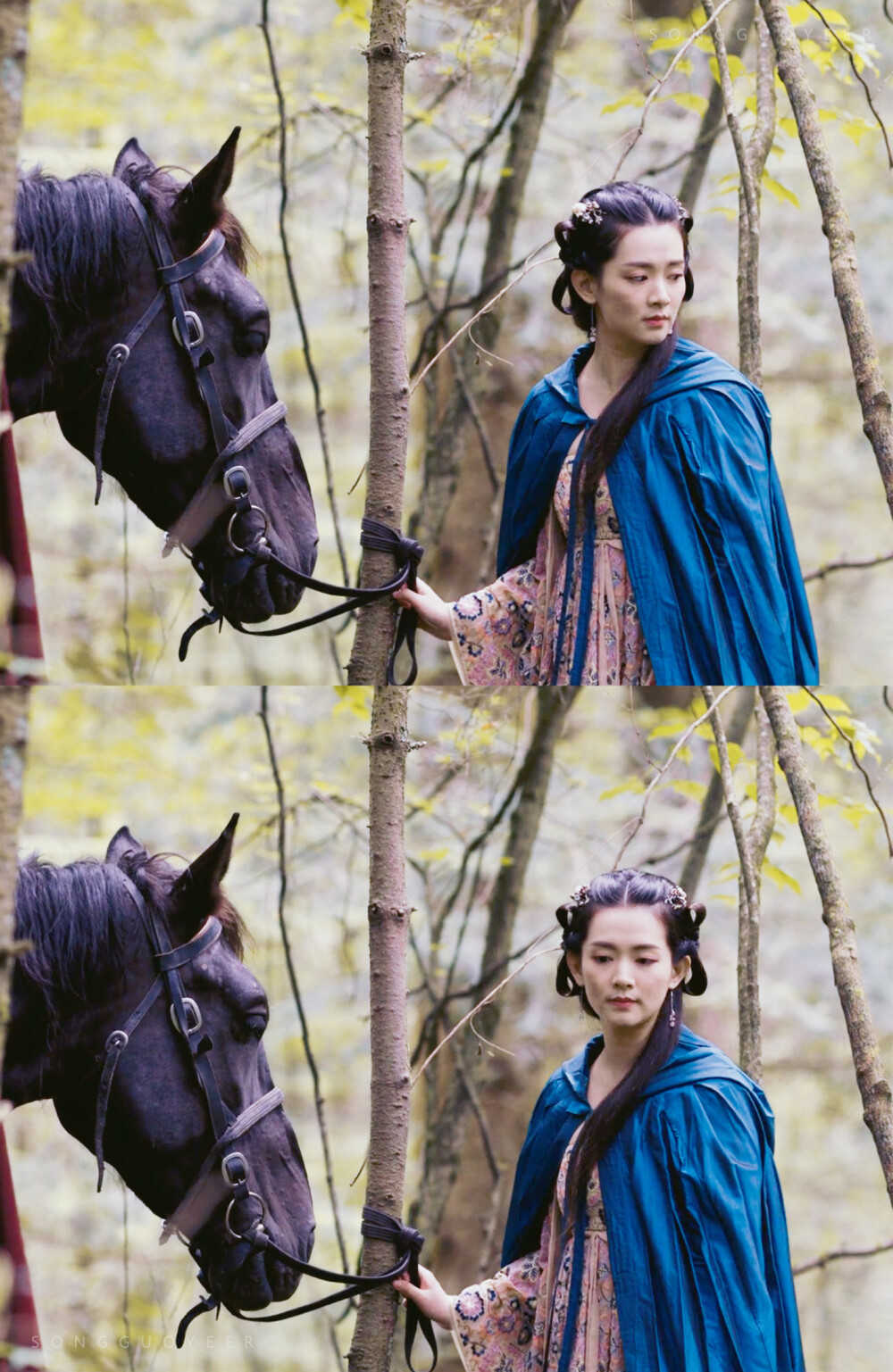 白舟月 陈昊宇 九州缥缈录