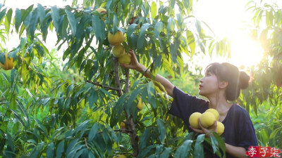 子柒