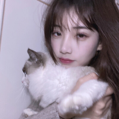 姐妹