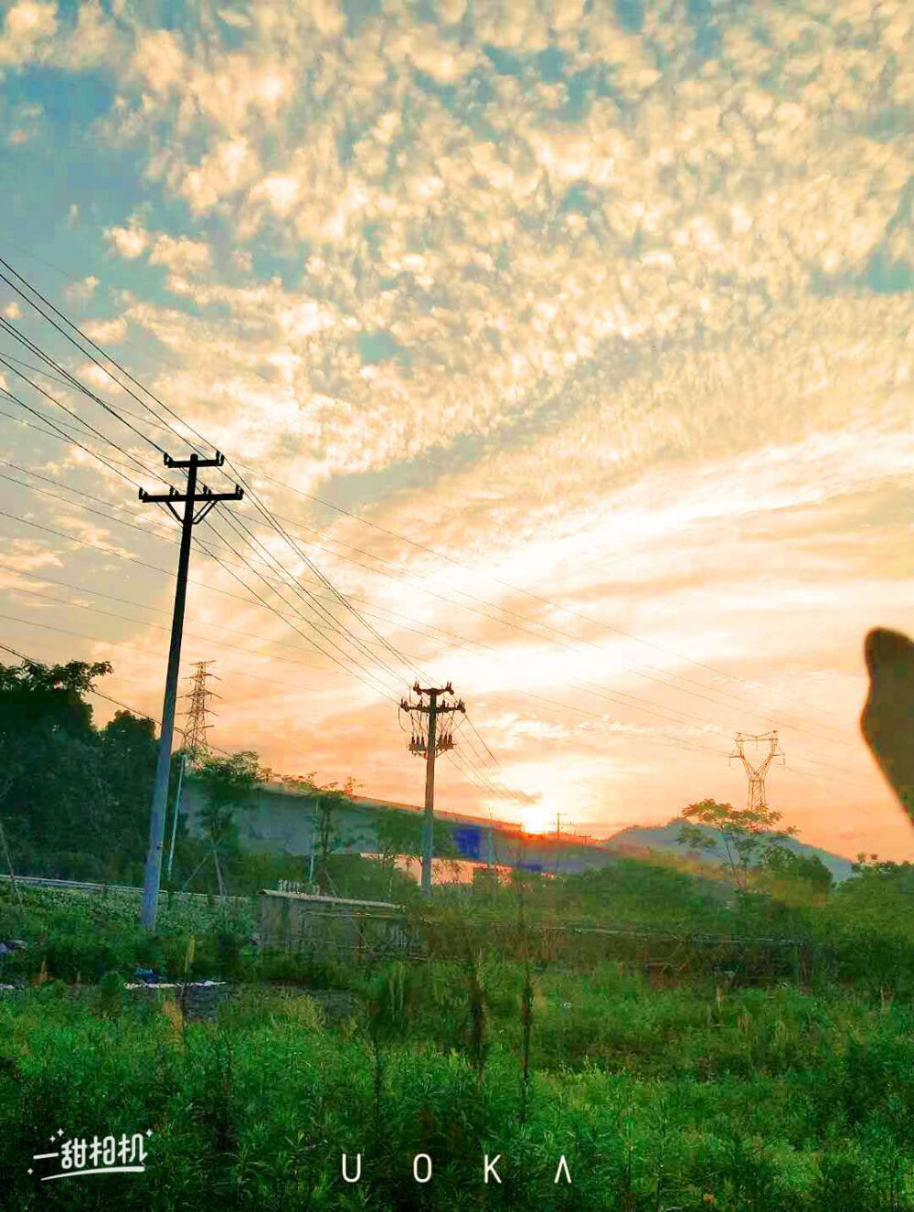 风景照（下）