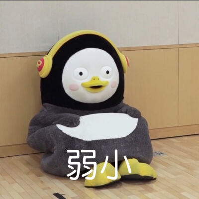 pengsoo表情包