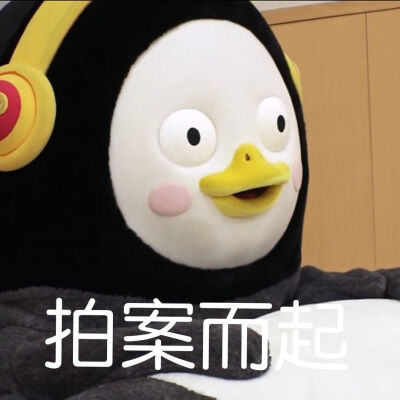 pengsoo表情包