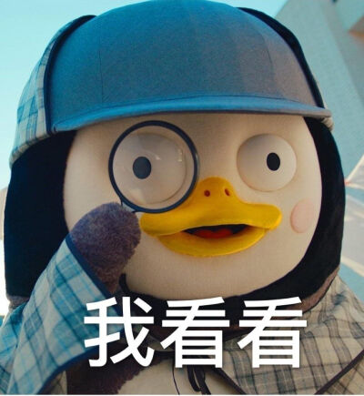 pengsoo表情包