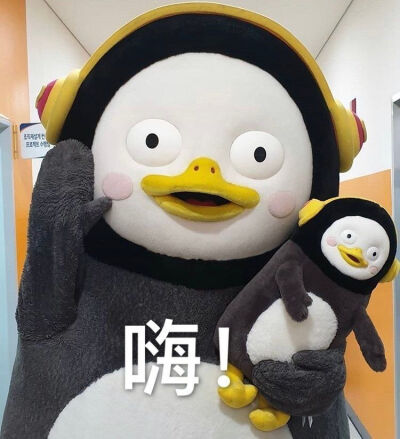 pengsoo表情包