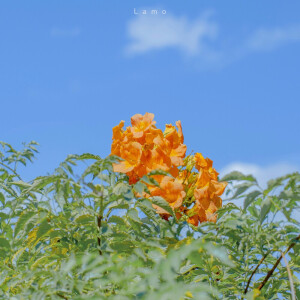 神仙壁纸 - 高清图片,堆糖,美图壁纸兴趣社区