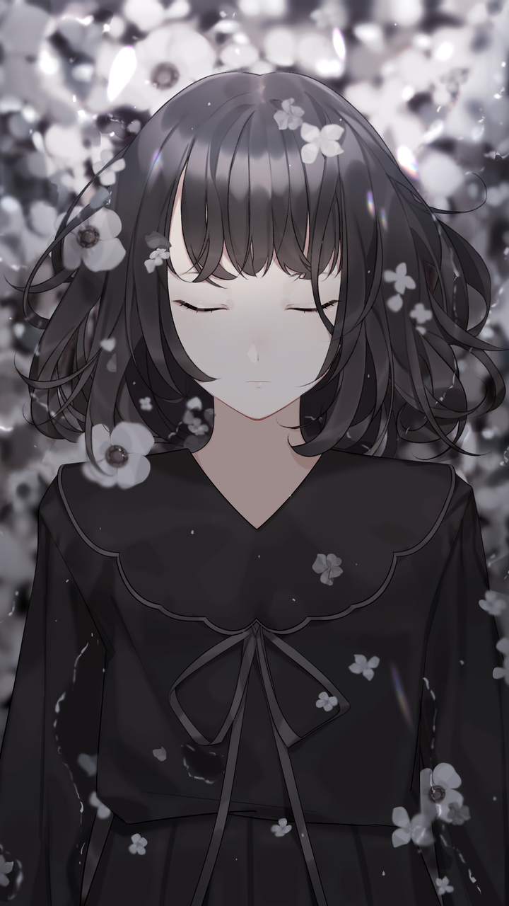 我仅是不愿，见寓意着圆满的合欢，晚景凄凉。