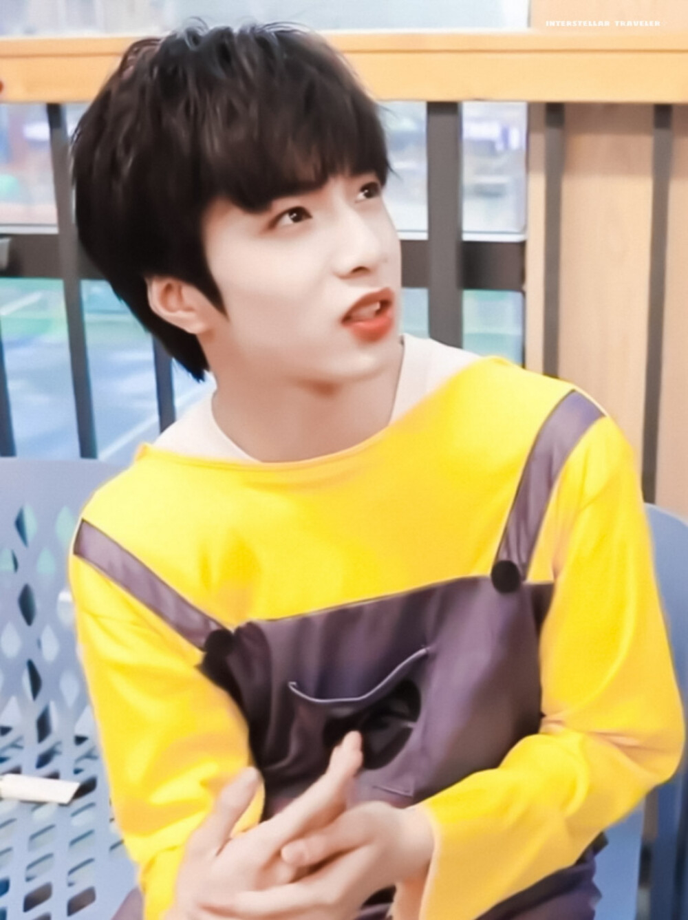 小狼眼睛亮晶晶