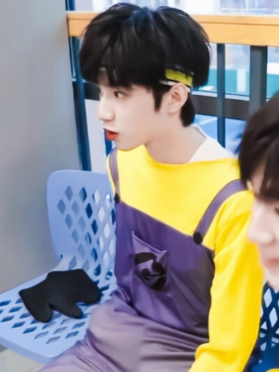 小狼眼睛亮晶晶