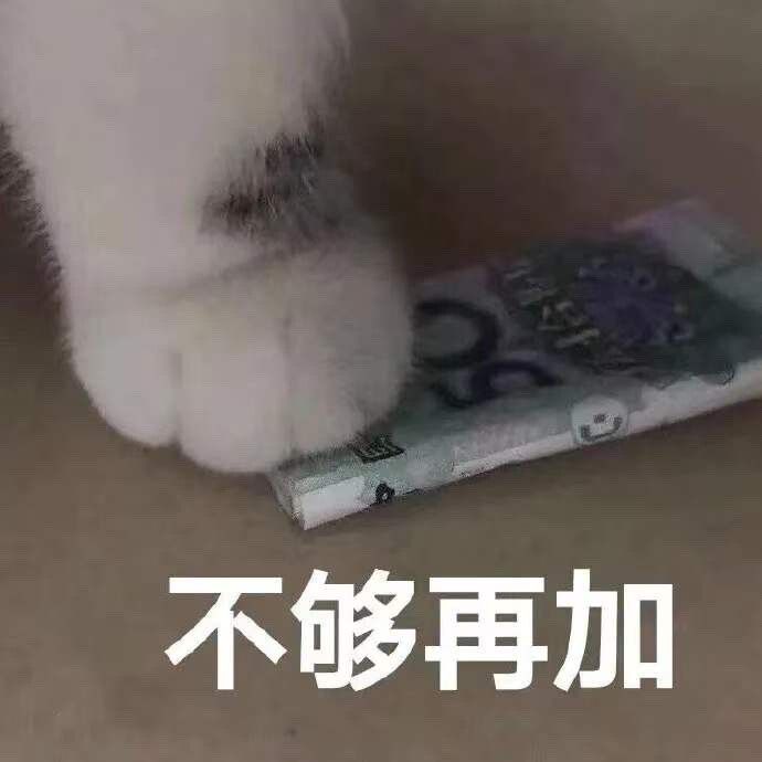猫咪表情包 50 不够再加