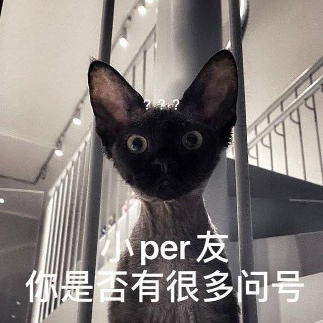 奇奇怪怪的perper