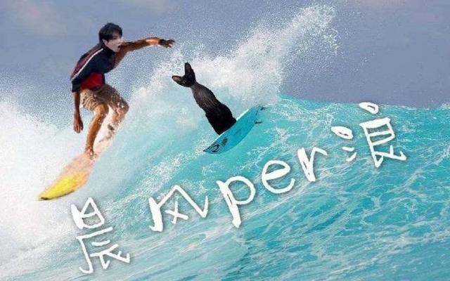 奇奇怪怪的perper