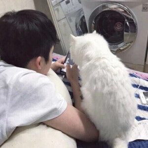 男头