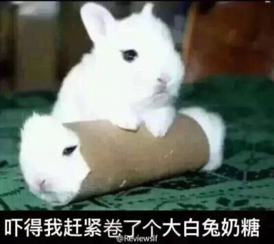 表情包