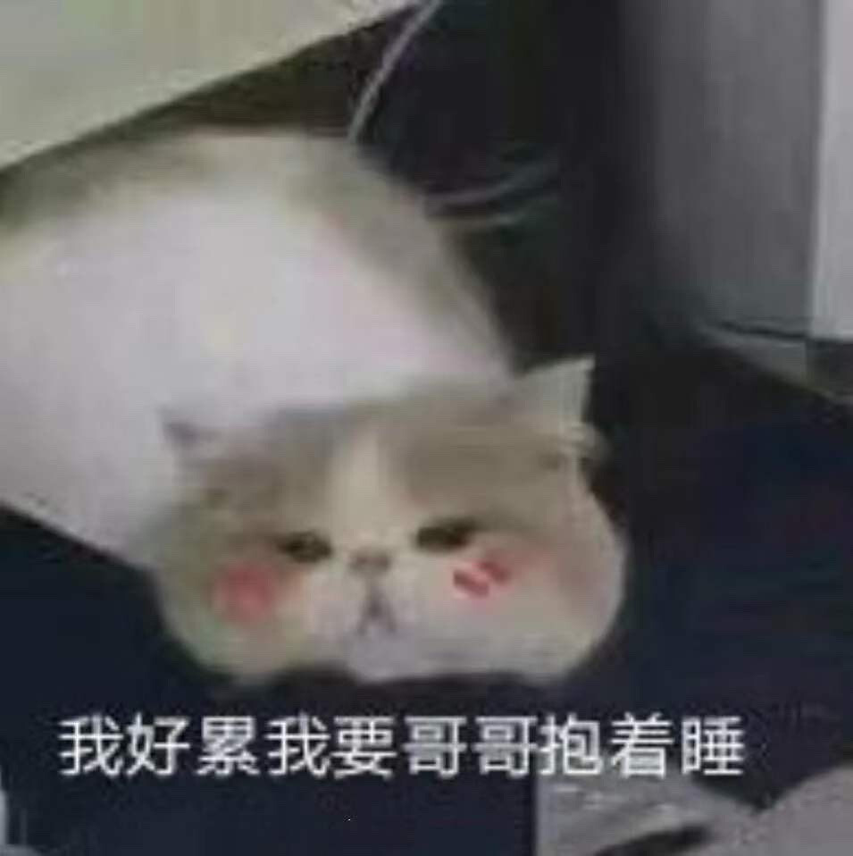 猫咪表情包 我好累我要哥哥抱着睡