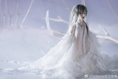 DZdoll,bjd,白鹤三分