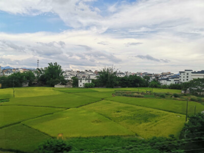 田野