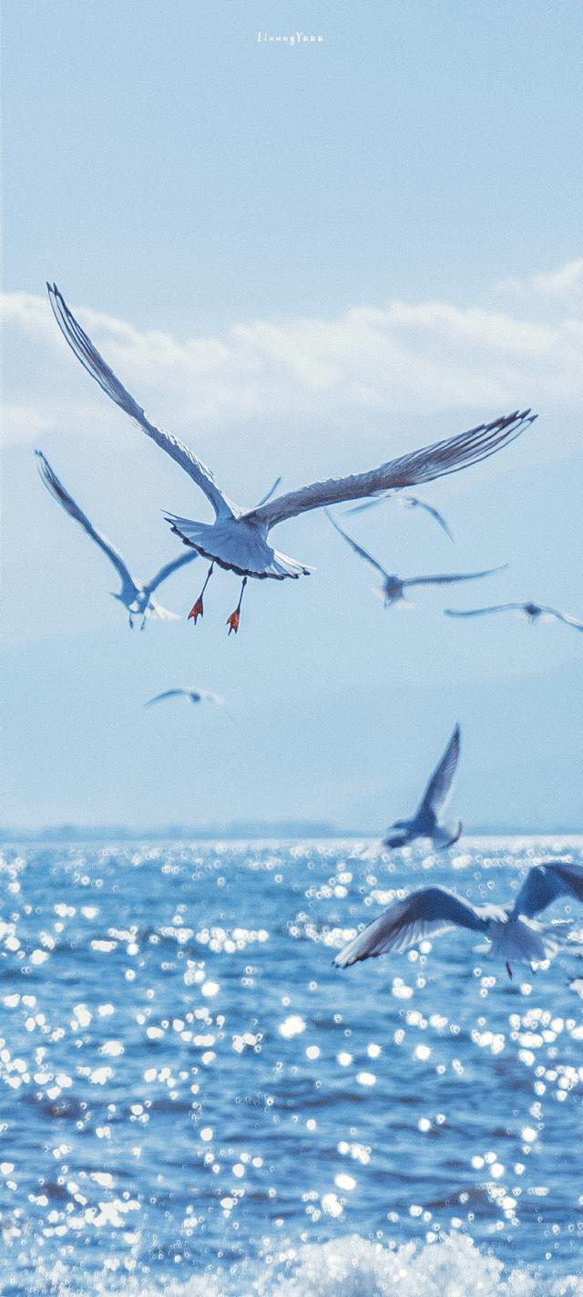 壁纸 风景 唯美