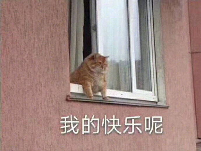 猫狗表情包