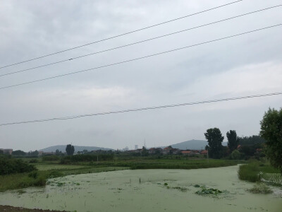 南方的梅雨季节来临，最近一阵子天天下雨，不喜欢雨天。