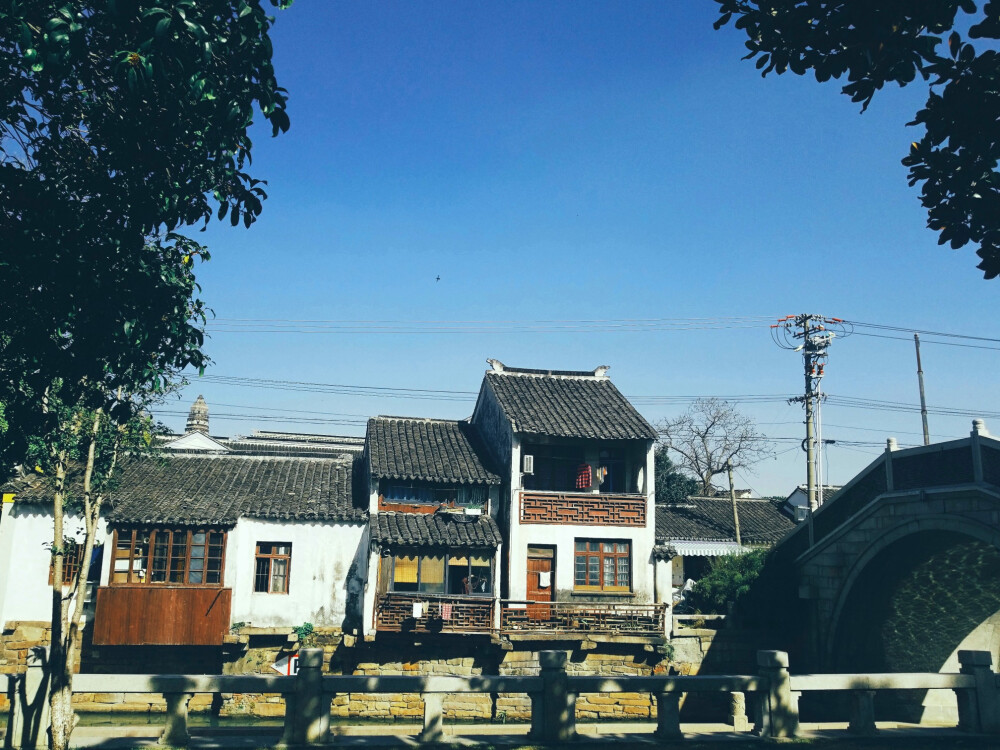 风景 景物 花卉 植物 拍摄 摄影 景物 美 天空（均为本人摄影@梓无柯）