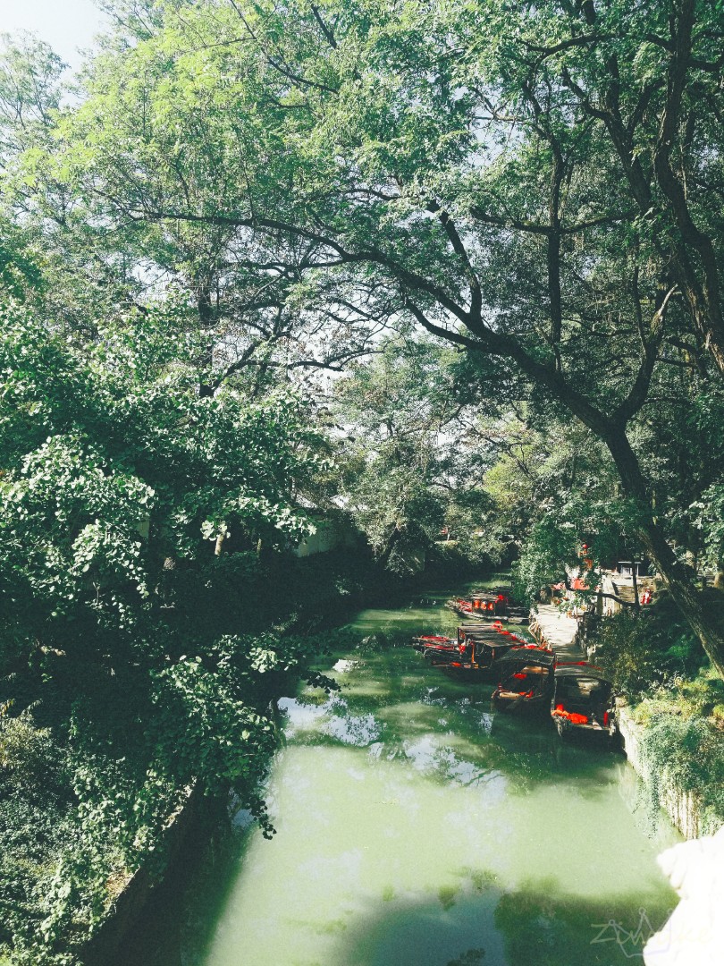 风景 景物 花卉 植物 拍摄 摄影 景物 美 天空（均为本人摄影@梓无柯）