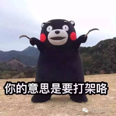 小破熊