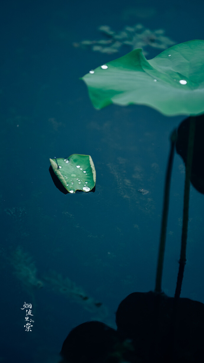 【原创】《清晨感怀》
夜来微雨润清晨，朝气混蒙无意晴
园静径幽鸟鸣脆，凉风徐来近似秋
广场几人南北事，云重迫近覆水来
天时无常难尽意，世人难得自清明
文/ 石家庄—金山
图/烟波里的棠（已授权）（订阅 @一诗一文 发现诗意生活、每天给你温暖陪伴 ）