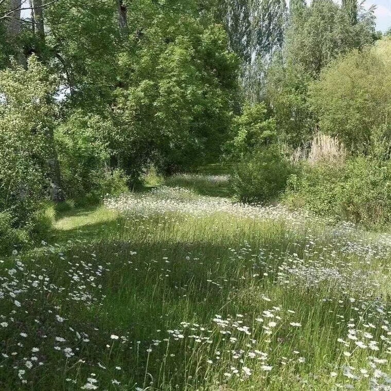 非动漫背景