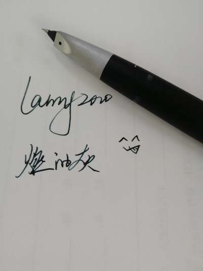 ＃梦中情笔＃＃lamy2000＃