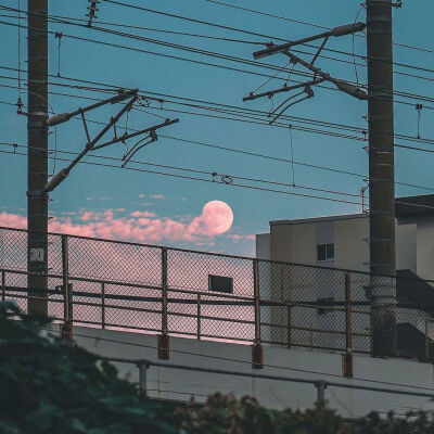 动漫背景图