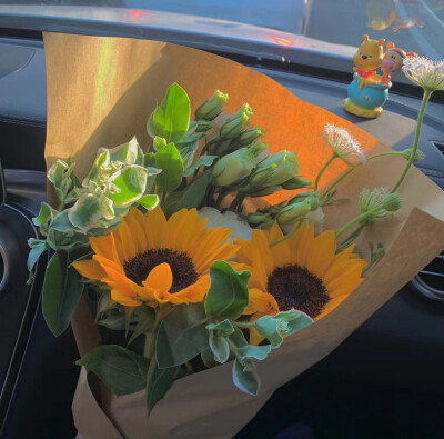 楠babyの 主页图 键盘壁纸 高清背景 INS objects极简