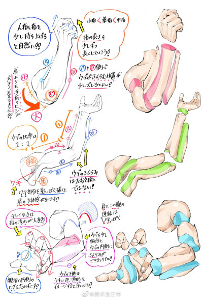 人体上肢 绘画教程