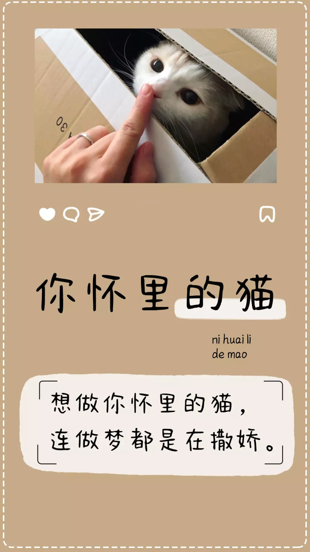 可爱 清新 简约 个性 文字