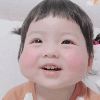 二传dt林乐词 自制o