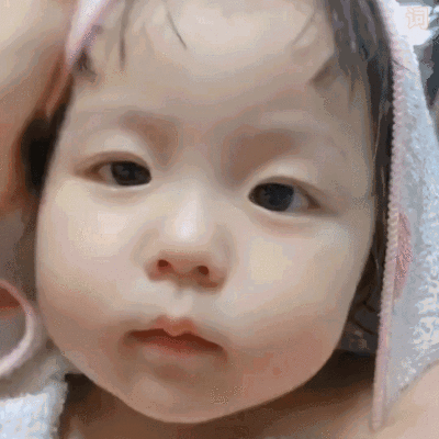 二传dt林乐词 自制o